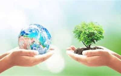 Ações sustentáveis | Por que sua empresa deve aplicá-las