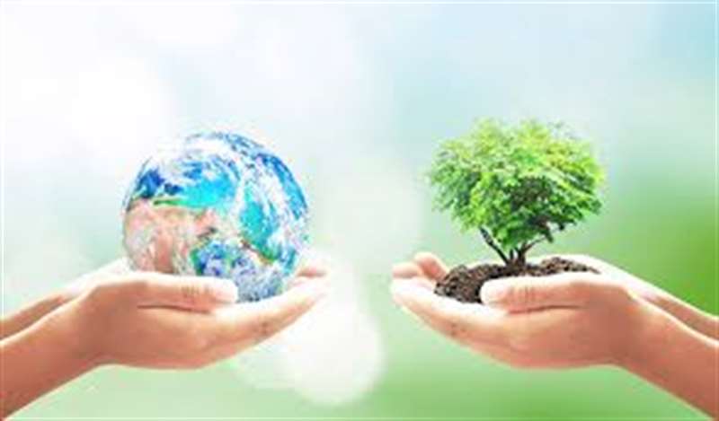 Ações sustentáveis | Por que sua empresa deve aplicá-las